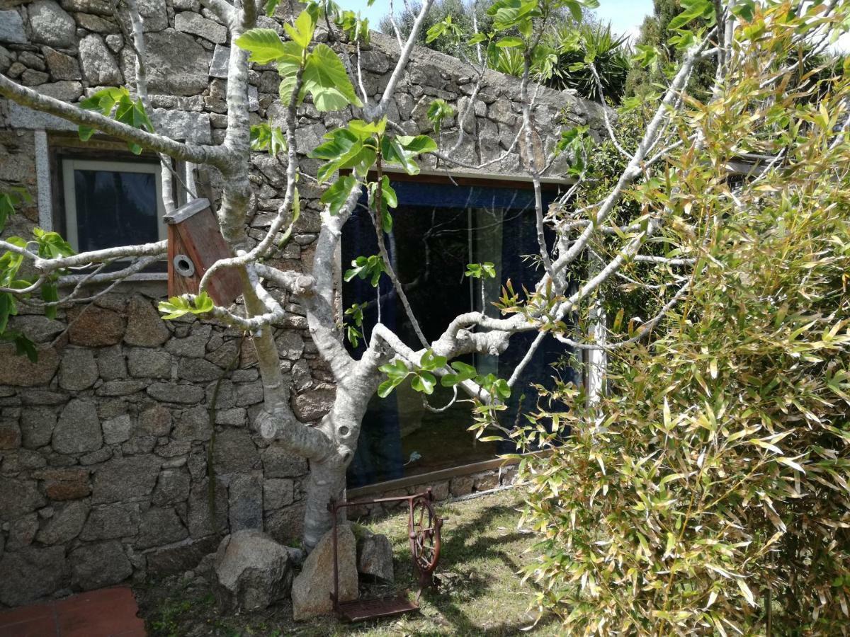 Agriturismo La Valletta Hotel Santa Teresa Gallura Exterior photo